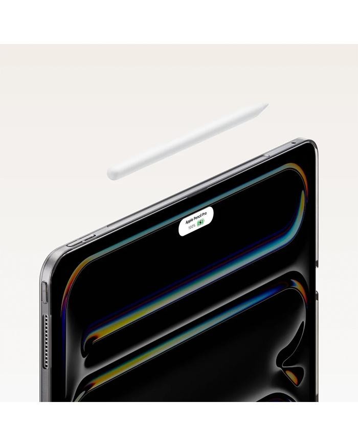 Buy PITAKA MagEZ Case 2 For iPad Pro 13